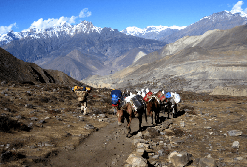 Why travelers want to visit Everest?