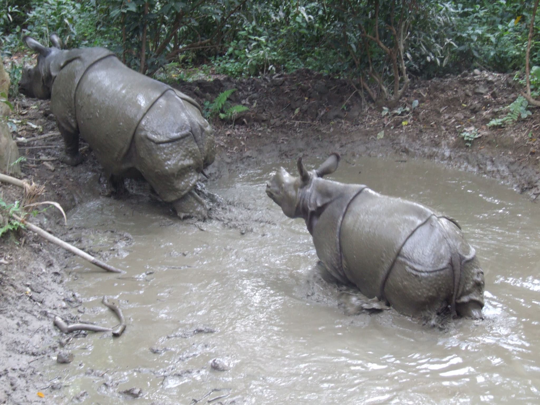 A week in Nepal Tour