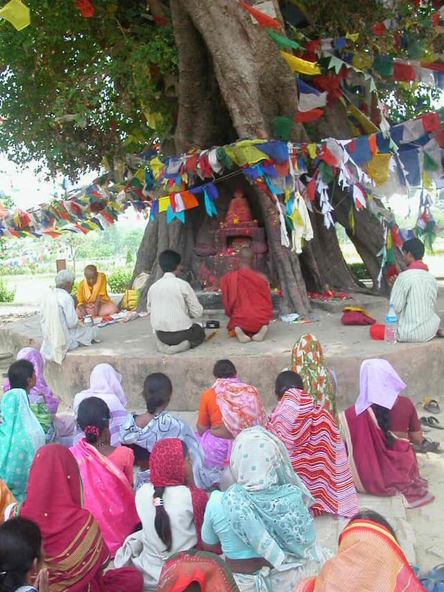 Day undefined - Image 3