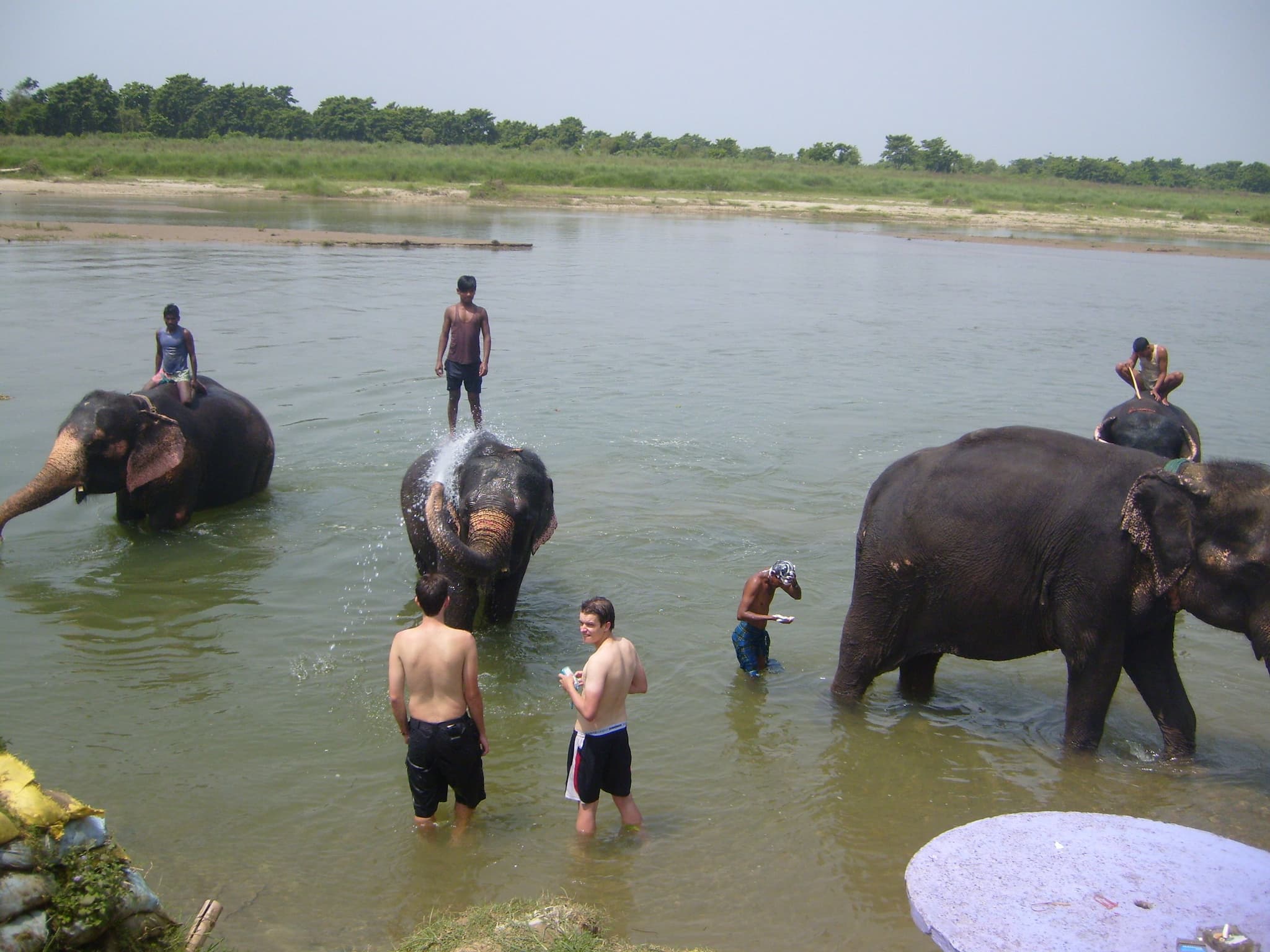 Chitwan National Park Safari