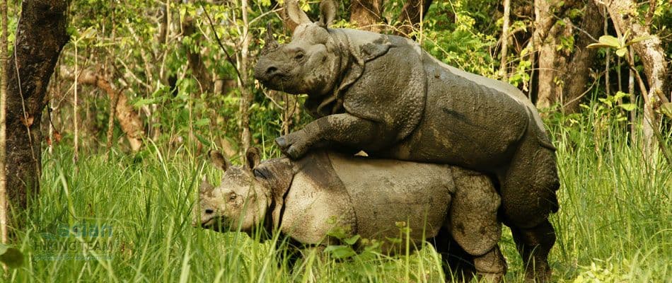 Nepal Honeymoon Tour