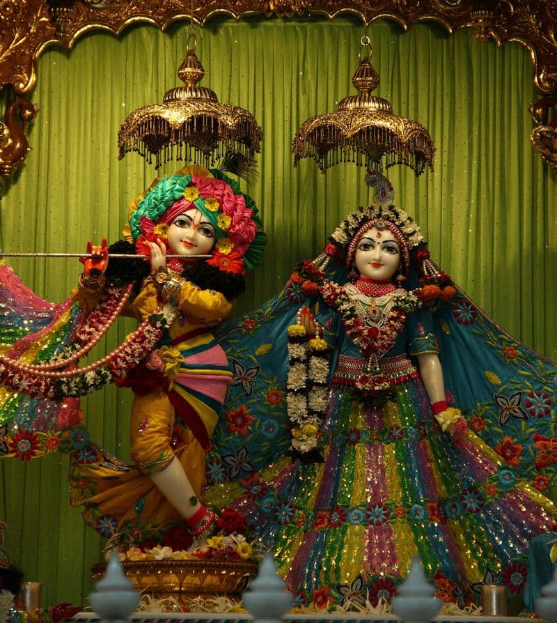 Jagannath Rath Yatra festival has been organized