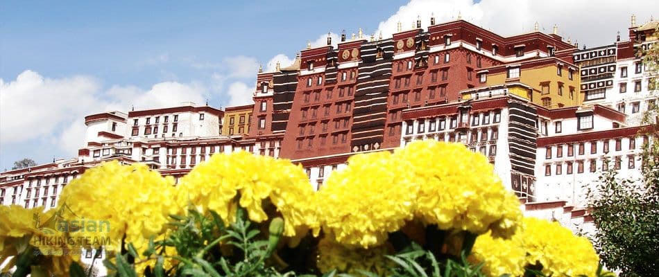 Tibet Tours collection image