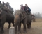 Chitwan Safari  » Click to zoom ->